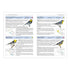 The Amerikan Bird Conservancy Guide to Bird Concervation - Lebbin 2010
